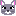 Cat face front