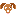 Cute dog