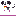Dog puppy running