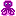 Octopus front